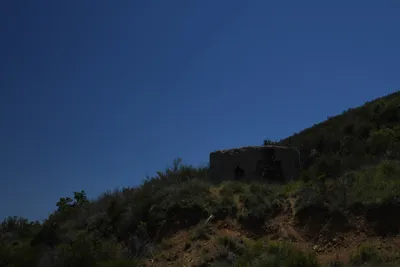 DSC_5898 (Large).JPG